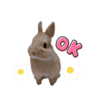ネザーのみるくちゃん（個別スタンプ：18）