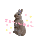 ネザーのみるくちゃん（個別スタンプ：20）