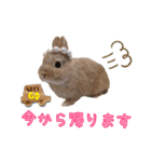 ネザーのみるくちゃん（個別スタンプ：23）
