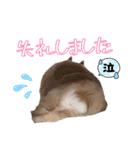 ネザーのみるくちゃん（個別スタンプ：24）