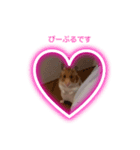 ハムスターのぴーぷる2公開（個別スタンプ：8）