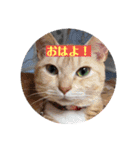 みーちゃんチャンネル's（個別スタンプ：2）