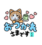 みーちゃんチャンネル's（個別スタンプ：4）