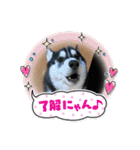 みーちゃんチャンネル's（個別スタンプ：5）