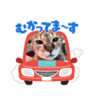 みーちゃんチャンネル's（個別スタンプ：6）