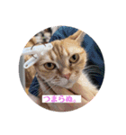 みーちゃんチャンネル's（個別スタンプ：8）