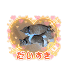 みーちゃんチャンネル's（個別スタンプ：18）