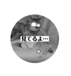 みーちゃんチャンネル's（個別スタンプ：20）