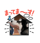 みーちゃんチャンネル's（個別スタンプ：23）