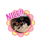 みーちゃんチャンネル's（個別スタンプ：24）