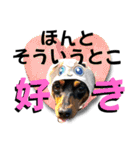 蘭丸先輩7（個別スタンプ：19）