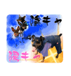 蘭丸先輩7（個別スタンプ：38）
