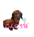 パンチだよ〜（個別スタンプ：3）