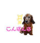 パンチだよ〜（個別スタンプ：4）