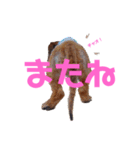 パンチだよ〜（個別スタンプ：6）