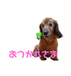 パンチだよ〜（個別スタンプ：14）