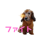 パンチだよ〜（個別スタンプ：15）