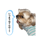 ここさんまろさん5（個別スタンプ：3）