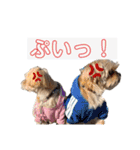 ここさんまろさん5（個別スタンプ：4）