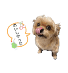 ここさんまろさん5（個別スタンプ：8）