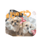 ここさんまろさん5（個別スタンプ：10）