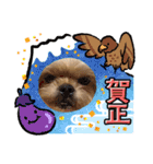 ここさんまろさん5（個別スタンプ：13）