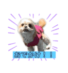 ここさんまろさん5（個別スタンプ：15）