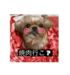 ここさんまろさん5（個別スタンプ：16）