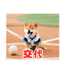 野球好きな柴犬スタンプ4（個別スタンプ：3）