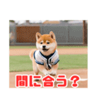 野球好きな柴犬スタンプ4（個別スタンプ：9）