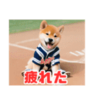 野球好きな柴犬スタンプ4（個別スタンプ：18）