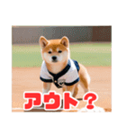 野球好きな柴犬スタンプ4（個別スタンプ：19）