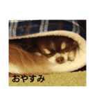 マロ(3)（個別スタンプ：3）
