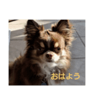 マロ(3)（個別スタンプ：4）