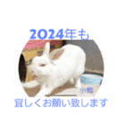 2024年Ver.正月スタンプ（個別スタンプ：6）