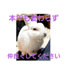 2024年Ver.正月スタンプ（個別スタンプ：8）