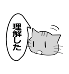 ひと言伝えるふきだしネコ 21（個別スタンプ：12）