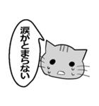 ひと言伝えるふきだしネコ 21（個別スタンプ：27）