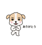 かわいい子犬 コオ（個別スタンプ：1）