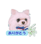 犬と花の手描きスタンプ（個別スタンプ：3）