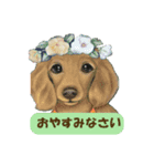 犬と花の手描きスタンプ（個別スタンプ：6）