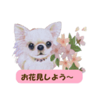 犬と花の手描きスタンプ（個別スタンプ：12）