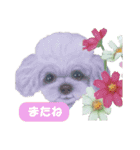 犬と花の手描きスタンプ（個別スタンプ：13）