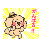 おしゃれな帽子わんこ（個別スタンプ：16）