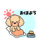 おしゃれな帽子わんこ（個別スタンプ：18）