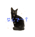 ひなちゃんとてまりちゃん（個別スタンプ：4）
