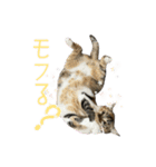 ひなちゃんとてまりちゃん（個別スタンプ：5）