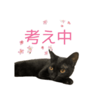 ひなちゃんとてまりちゃん（個別スタンプ：9）