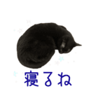 ひなちゃんとてまりちゃん（個別スタンプ：13）