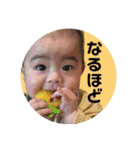 すけぴよどんどこどん再び。（個別スタンプ：7）